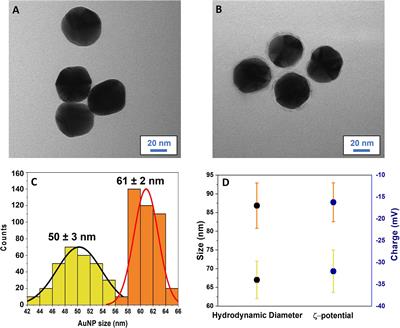 SERS Sensing of Bacterial Endotoxin on Gold Nanoparticles